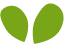 https://jungle-box.de/wp-content/uploads/2022/04/green_leaf.png